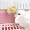 Corn Husk Treat Chew Toy for Small Pets view 4