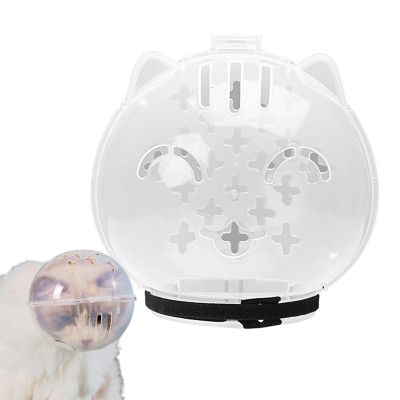 Transparent Cat Muzzle