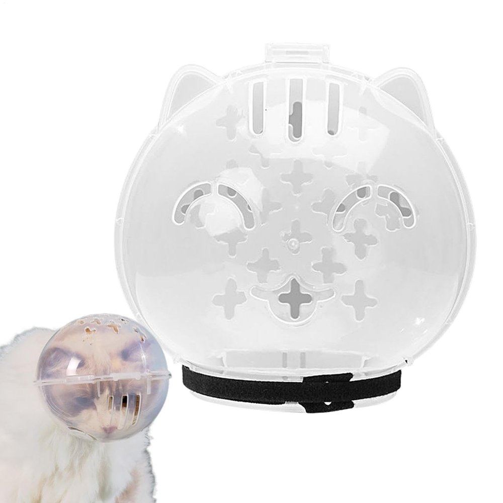 Transparent Cat Muzzle