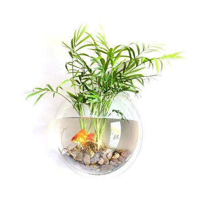 Hanging Acrylic Fish Bowl Vase for Aquariums