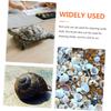 EXAOMBLE 2-Pack Plastic Cleaning Brushes for Turtles view 3