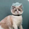 Cat Muzzle - Adjustable Pet Muzzle view 3