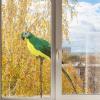 Artificial Parrots, Realistic Garden Decoration, 25 cm view 4