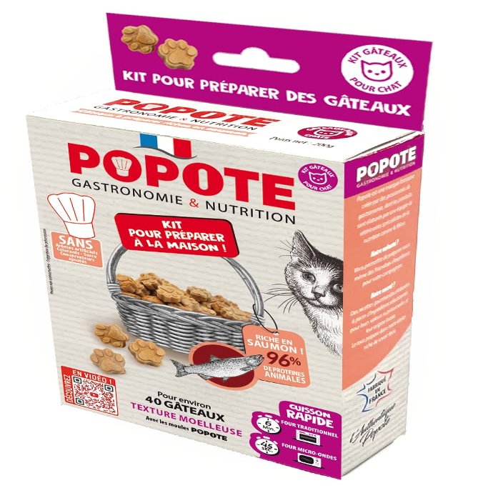 POPOTE Cat Treats Salmon Recipe