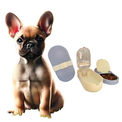 Portable Outdoor Dog Bowl and Water Dispenser Set