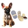 Portable Outdoor Dog Bowl and Water Dispenser Set view 1