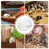 Transparent Hamster Sand Bath with Scoop view 4
