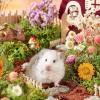 Gerbil Bedding, Hamster Bedding | Natural Floral Cage Accessory | Creative Dried Flower Bedding for Small Pets with Odor Control view 2