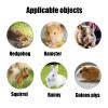 Gerbil Bedding, Hamster Bedding | Natural Floral Cage Accessory | Creative Dried Flower Bedding for Small Pets with Odor Control view 4