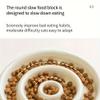 Qerwsdty Ceramic Slow-Feeder Bowl for Dogs and Cats view 4