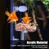 Shrimp Feeding Bowl, 1 Piece Acrylic Shrimp Feeder with Suction Cup view 2