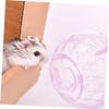 BESPORTBLE Small Hamster Training Ball view 4