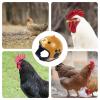 Chicken Hat for Chickens – Lightweight Adjustable Poultry Headwear view 4