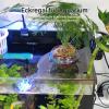 Coral Frag Holder Triangle Rack view 4