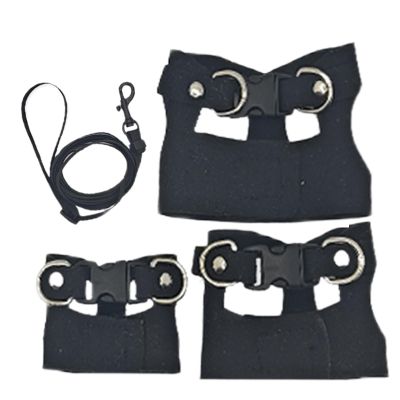 Bearded Dragon Harness and Leash Set