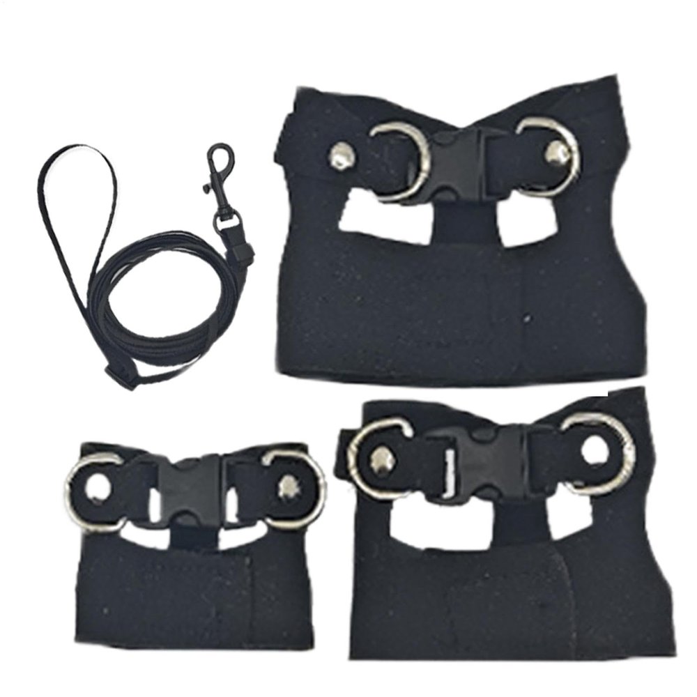 Bearded Dragon Harness and Leash Set