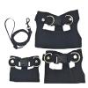 Bearded Dragon Harness and Leash Set view 1