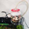 Aquarium Plant Holder - Triangle Corner Shelf view 3