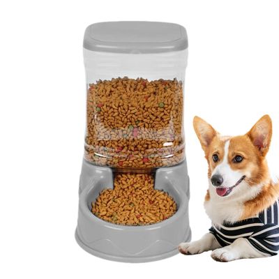 Automatic Cat Feeder