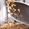 Automatic Cat Feeder view 3