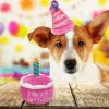 Dog Birthday Cake Toy view 3