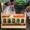 Hay Feeder for Rabbits | Rabbit Hay Feeding Station | Rabbit Hay Rack view 3