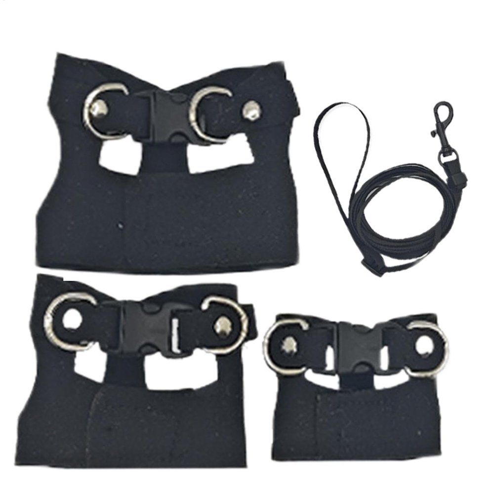 Bright Harness and Leash Set