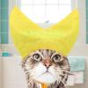 Pet Shower Cap for Dogs and Cats view 3