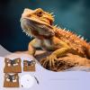 Reptile Harness and Leash Set view 2