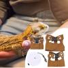Reptile Harness and Leash Set view 3