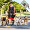 Dog Waste Bag Holder and Dispenser view 4