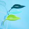 Leaf Perch for Reptiles view 3