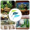 Leaf Perch for Reptiles view 4