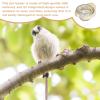 Bird Feeder Bowl - Transparent Removable Design view 3