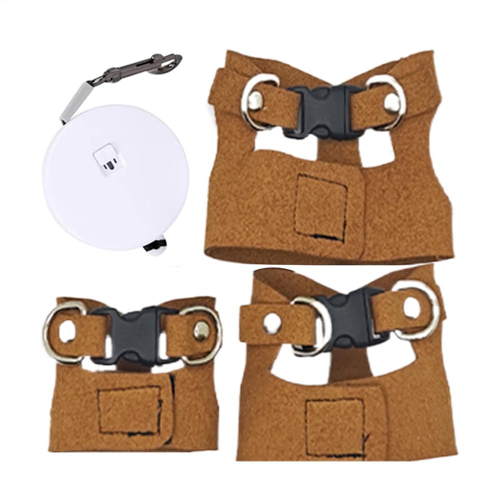 Harness and Leash for Bearded Dragons