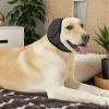 Comfortable Dog and Puppy Headband view 3