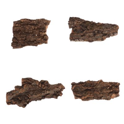 Bark Climbing Decor for Geckos and Lizards, 4 Pieces