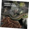 Bark Climbing Decor for Geckos and Lizards, 4 Pieces view 4