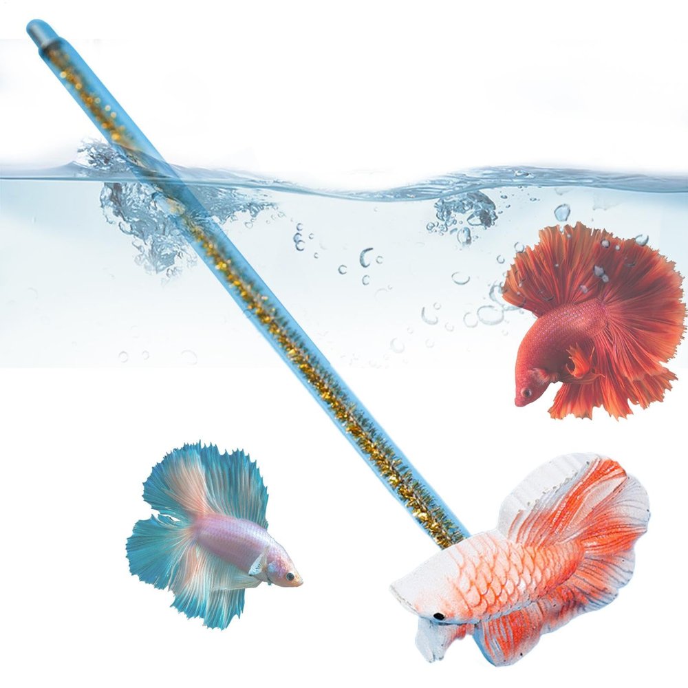 Betta Fish Training Toy