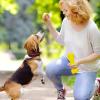 Dog Treat Pouch with Carabiner, Silicone Treat Bag view 2