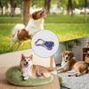 Puppy Dog Bowl, Slow Feeder Puzzle, Portable and Gentle view 4