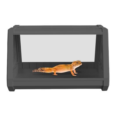 Reptile Terrarium for Leopard Geckos