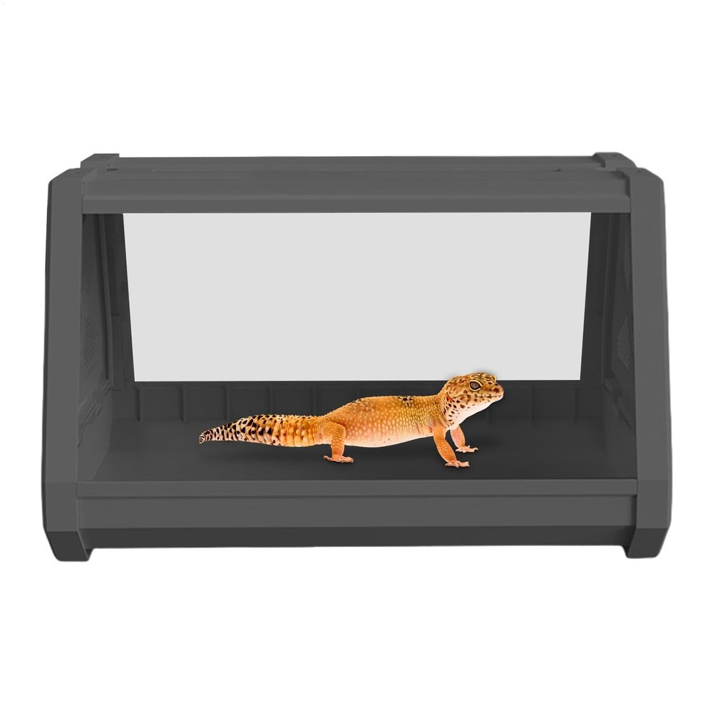 Reptile Terrarium for Leopard Geckos