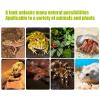 Reptile Terrarium for Leopard Geckos view 4