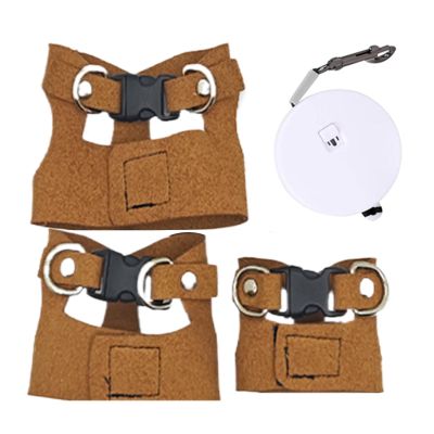 Harness and Leash for Small Reptiles