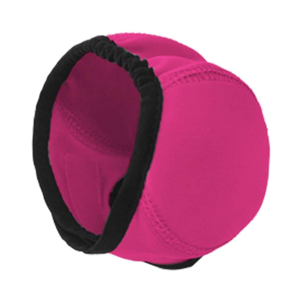 Dog Ear Protection