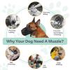 Breathable Adjustable Mesh Dog Muzzle view 3