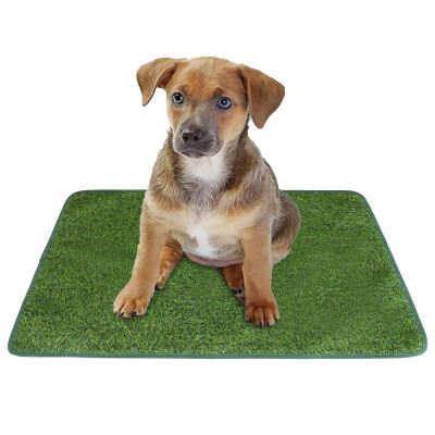 Washable Dog Training Pads