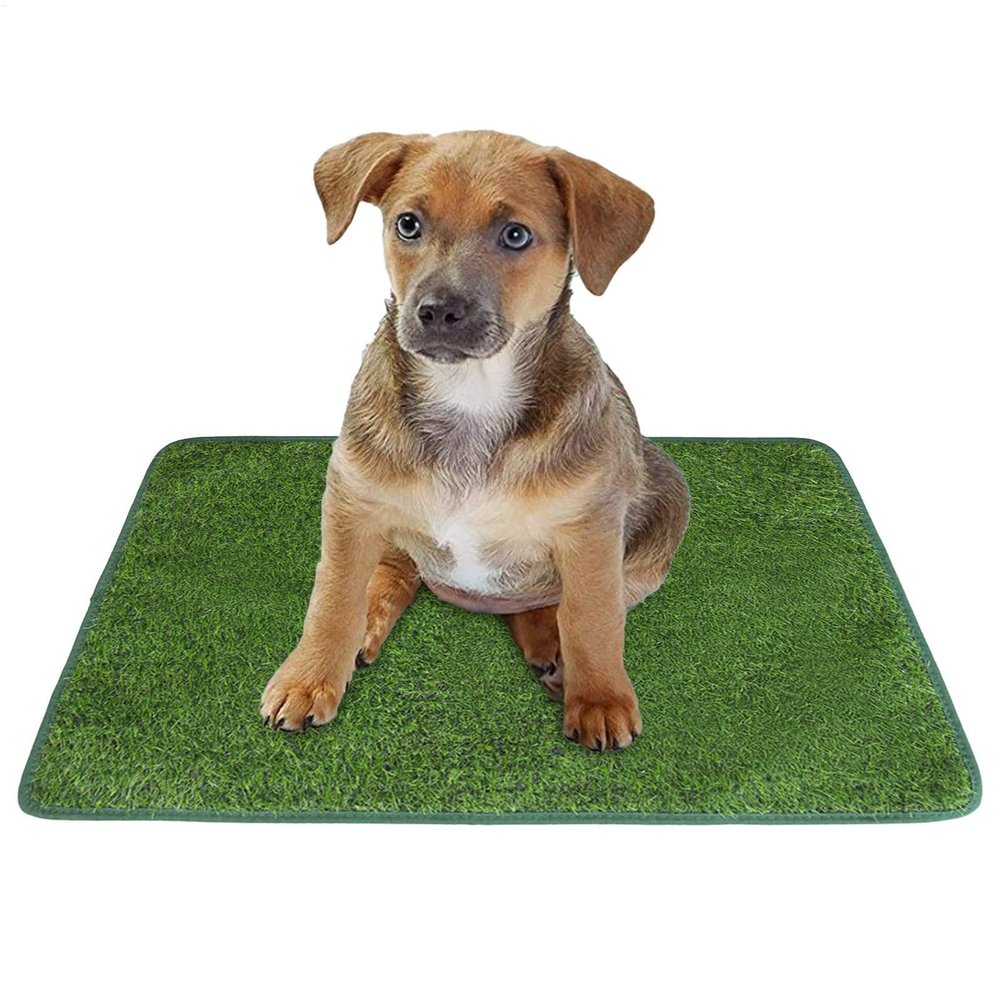 Washable Dog Training Pads