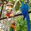 Diuyzoc Parrot Toy for Budgies view 3